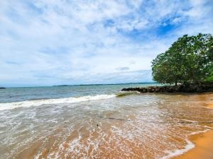 Beach near Sithujaya Green Mirissa